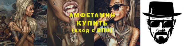 шишки Пестово