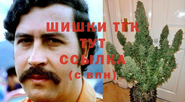 ПСИЛОЦИБИНОВЫЕ ГРИБЫ Аркадак