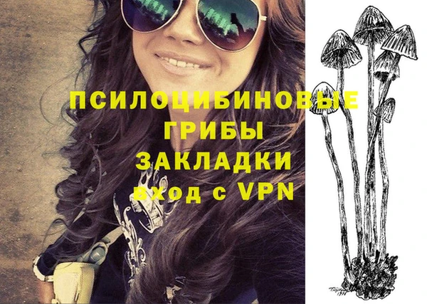 хмурый Алексеевка