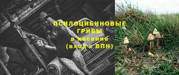 ПСИЛОЦИБИНОВЫЕ ГРИБЫ Аркадак
