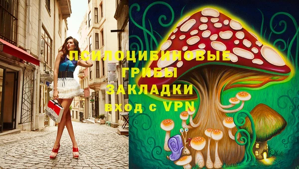 хмурый Алексеевка