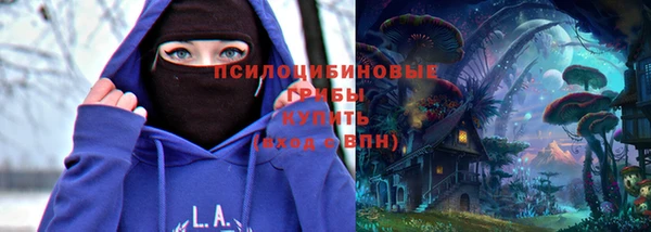 хмурый Алексеевка