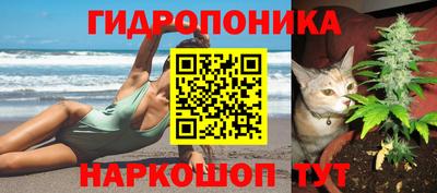 альфа пвп Гатчина