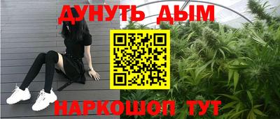 гидра Гай