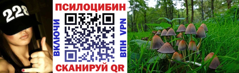 Галлюциногенные грибы Psilocybine cubensis  закладка  Новодвинск 
