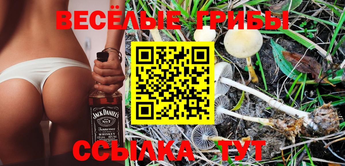 Псилоцибиновые грибы GOLDEN TEACHER  Вход с VPN  Галлюциногенные грибы MAGIC MUSHROOMS  Новодвинск 