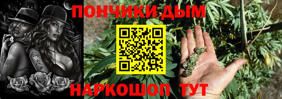 Каннабис SATIVA & INDICA Новодвинск